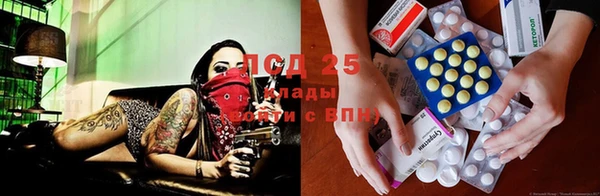 apvp Лиски